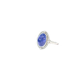 14k White Gold 9.74ct Oval Shape Tanzanite and .36ct G VS2 Round Diamond Ring